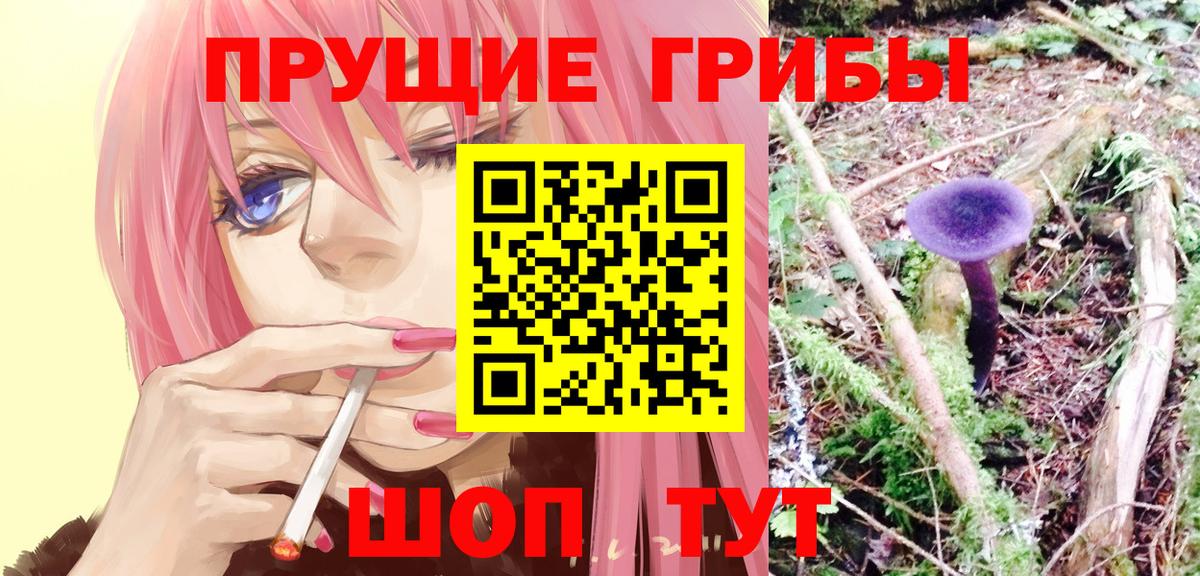 Галлюциногенные грибы прущие грибы  Псилоцибиновые грибы Magic Shrooms  Новосибирск  Вход с VPN 